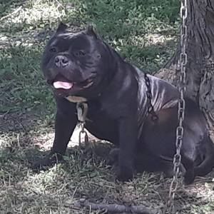 Meet your Posher, Carlos